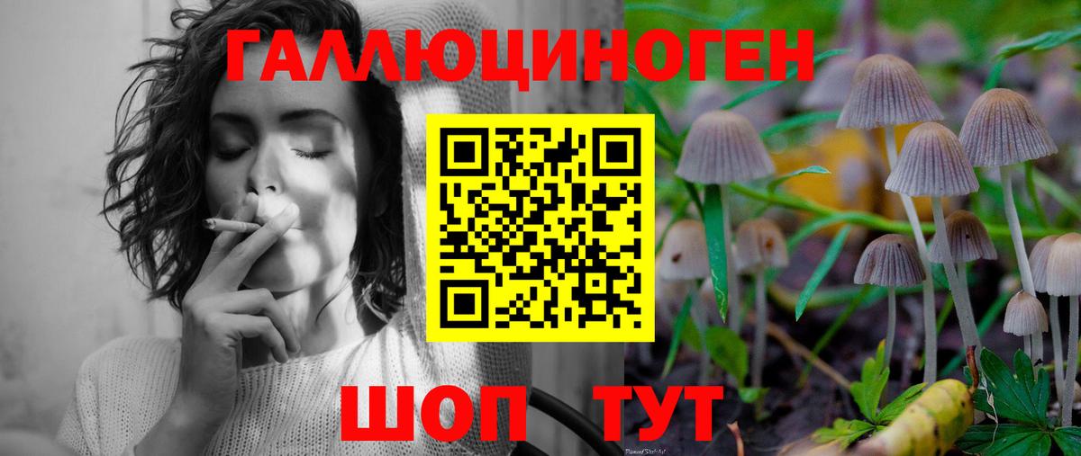Псилоцибиновые грибы мухоморы  Галлюциногенные грибы Psilocybe  Вход с VPN  Ноябрьск 